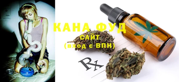 индика Краснотурьинск