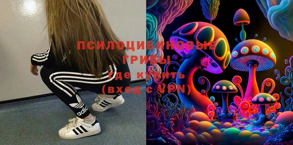 гидра Козловка