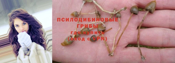 амф Красноперекопск