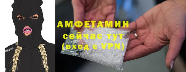 индика Краснотурьинск