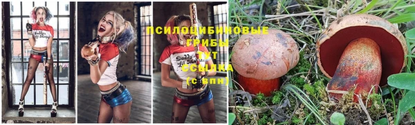 мяу мяу кристалл Коряжма