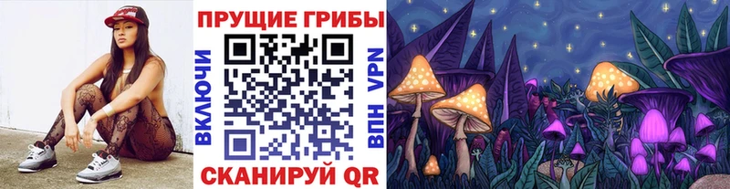 Псилоцибиновые грибы GOLDEN TEACHER Медвежьегорск